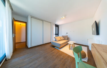 Wilde 455 BIS